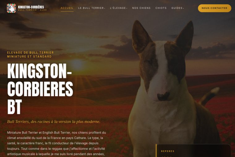 Site d’élevage de Bull Terrier standard et miniature : Kingston-Corbières, par OWAG