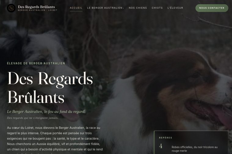 Site d’élevage de Berger Australien, modèle éditorial : Le regard éditorial, par OWAG