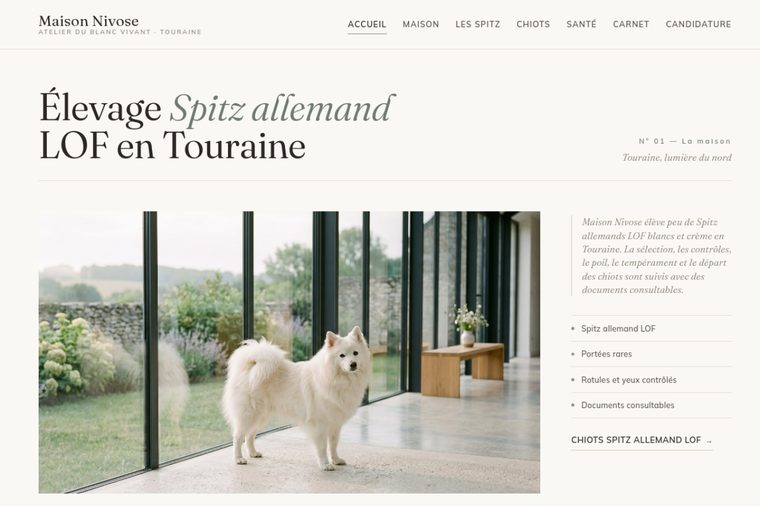 Site d’élevage de Spitz allemand, modèle éditorial : L’éditorial régional, par OWAG